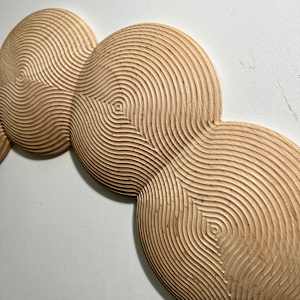 Multiplicity by Roger Murray 