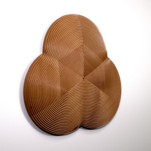 Inside out by Roger Murray 