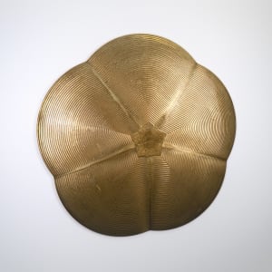 Sublimant by Roger Murray 