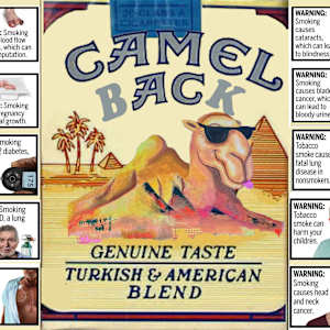 CAMELBACK MOUNTAIN CIGARETTE PACK SCULPTURE by Curtis Dickman 