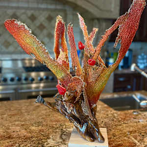 Prickly Pear Cactus Bouquet by Curtis Dickman, Image 2.