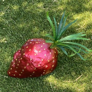 STRAWBERRY FACE by Curtis Dickman 