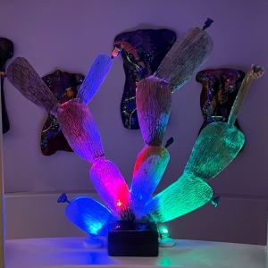 STUCK ON YOU.  DECONSTRUCTED PRICKLY PEAR CACTUS by Curtis DIckman 
