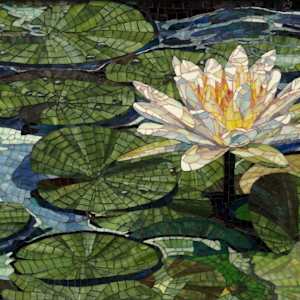 Nymphaea by Julie Mazzoni, Image 1.