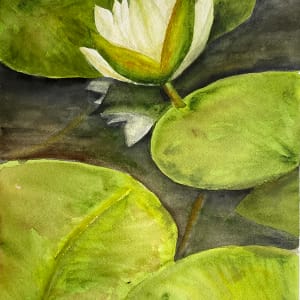 Water Lily Study 4 by Katy Heyning