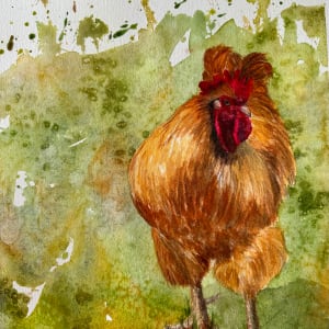 Rooster by Katy Heyning