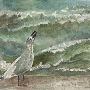 Seagull by Katy Heyning