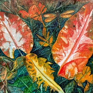 Dragonfly in Autumn by Katy Heyning