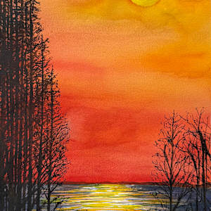 Tall Pines and Sun by Katy Heyning