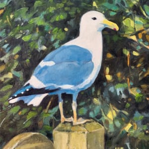 Cannon Beach Gull by Danna Tartaglia