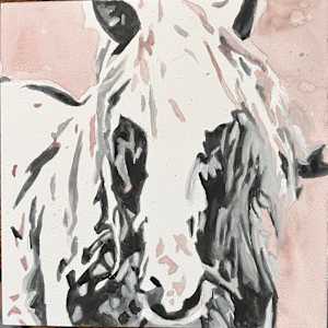 Horse study by Danna Tartaglia