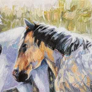 Shady Conversation by Danna Tartaglia