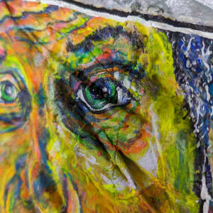 Split 2nd by Greg Hausler  Image: Split 2nd - Close Up 1