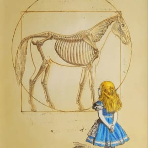 Wonder (1/10)  Image: Wonder (1/10)