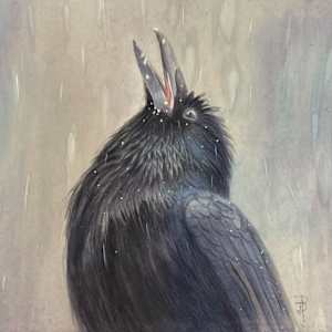 Catching Snow by Dorie Petrochko