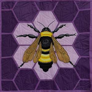 Black and Gold Bumble Bee (bombus auricomus) by Kathy DeVries