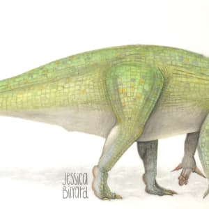 Iguanodon bernissartensis by Jessica Bilyard