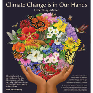 Climate Change is in Our Hands - Little Things Matter by Carol Schwartz