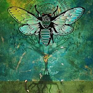 Cicada Cycle 13 by Joely Rogers
