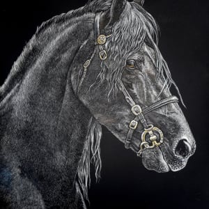 Friesian Stallion by Sandra Williams