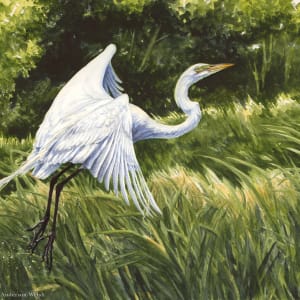 Egret in the Marsh by Lauren Anderson-Welsh