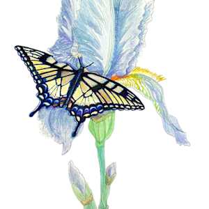 Delicate Balance by Mariah Sotelino