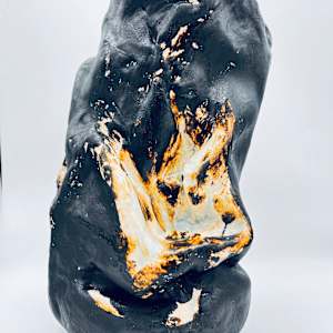 Heart Broken Peritoneum by Elizabeth Janss