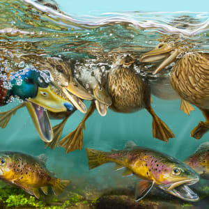 Underwater by Malfada Paiva
