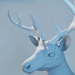 Antler Growth Cycle by Natasha Mutch, Image 2.