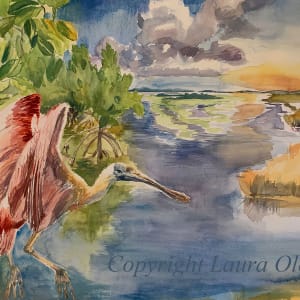 Spoonbill Migration by Laura Oleniacz