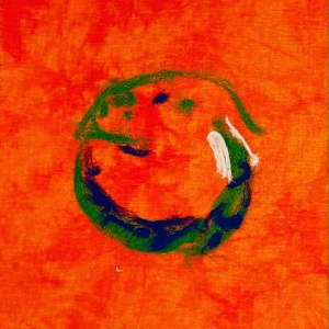 Heidelberg Image of Optic Nerve by Nancy Tilson-Mallett