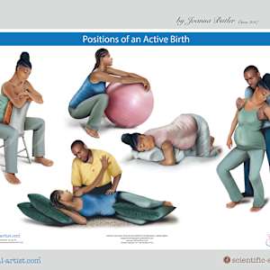 Project a range of anatomy charts for Institute of Pregnancy of Labor and Birth by Joanna Butler, Image 6.