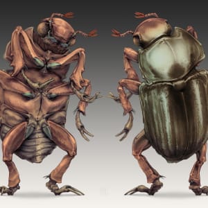 The "Welcome Bug" (Jewel Scarab) by Robert Long