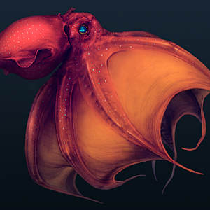 Vampire Squid, Vampyroteuthis infernalis by Robert Long