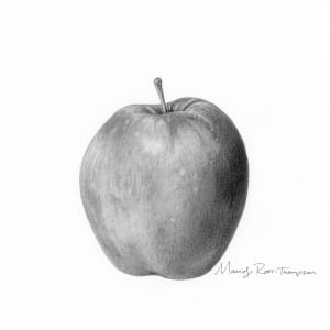 Apple Study by Mandy Root-Thompson