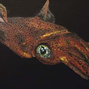 Caribbean Reef Squid by Netta Dar