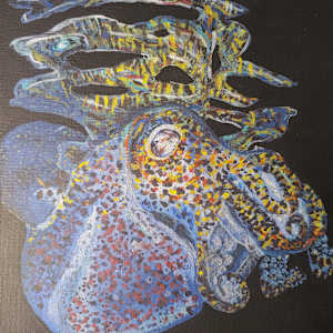 Bobtail Squid by Netta Dar, Image 1.