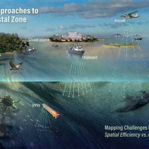 Multi-Platform Coastal Zone Mapping by Nicolle Fuller