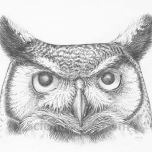 Great Horned Owl by Margaret Garrison