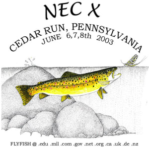 Tee Shirt Design - Brown Trout by Stephen DiCerbo