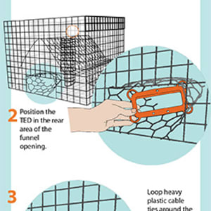 How to Install a Turtle Excluder Device (TED) by Kelly Finan