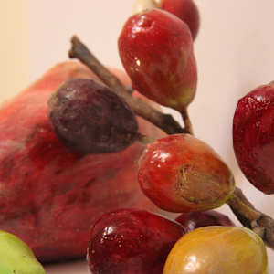 Discarded Fruit: Cashew and Coffee by Benjamin Feinstein 