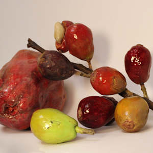 Discarded Fruit: Cashew and Coffee by Benjamin Feinstein 