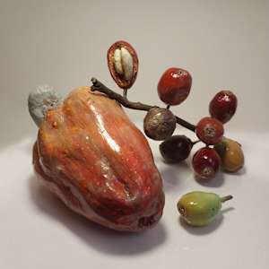 Discarded Fruit: Cashew and Coffee by Benjamin Feinstein 