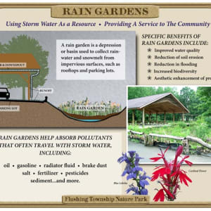 Rain Garden Graphic by Gail Guth