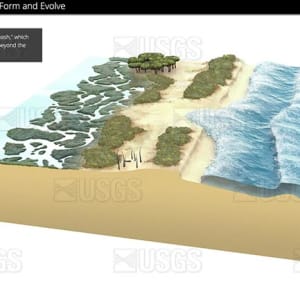 Cross-shore barrier island formation, panel 2 by Betsy Boynton