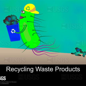Bacteria recycle waste products by Betsy Boynton