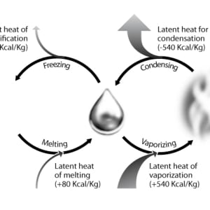 Phase change in Water by Kelly Finan