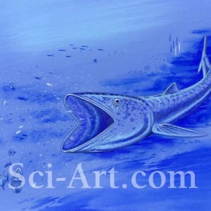 Rhinconichthys by R. Gary Raham