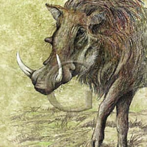 Warthog by Gail Guth